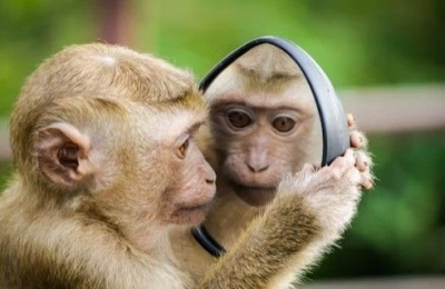 High in the Troodos, winter refuses to clock out just yet, with snow or sleet still possible.