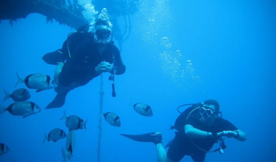 Diver was transported to Larnaca General Hospital, where doctors confirmed his death.