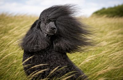 The sun is out, but the wind is officially looking for a fight. Photo credit: Unsplash