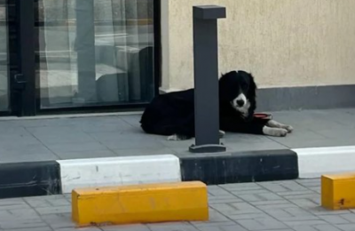 Photo from X post @domdyer70