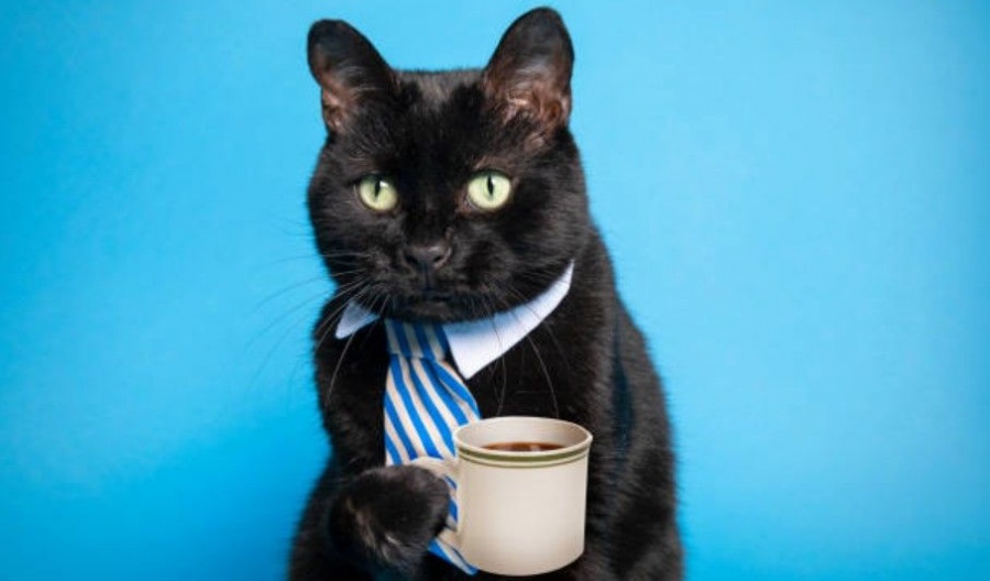 Seasonal averages are holding the line for now, but the Sahara is already packing its bags for Wednesday. Photo credit: Unsplash