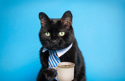 Seasonal averages are holding the line for now, but the Sahara is already packing its bags for Wednesday. Photo credit: Unsplash