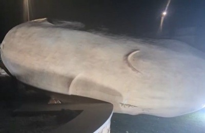 Creator has taken the statue to his Nicosia workshop for repair. Photo credit: The Big Potato Cyprus Facebook