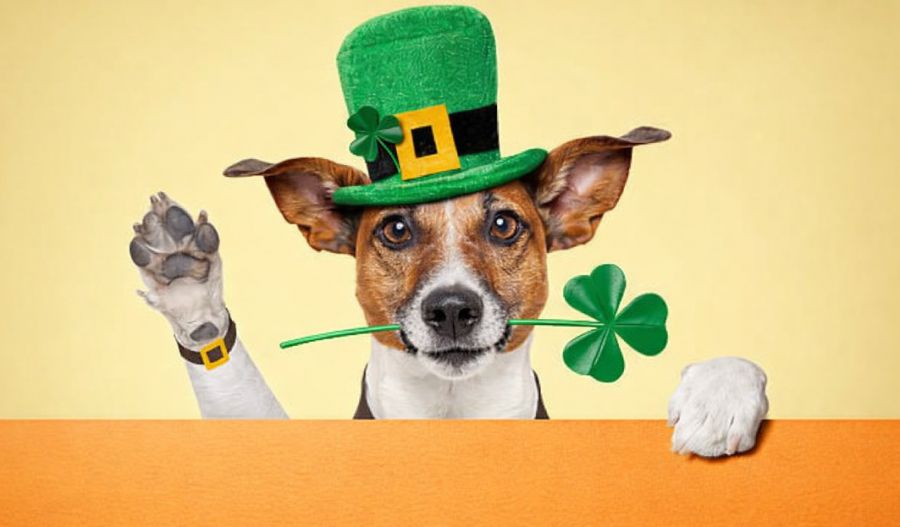 Honorary Irish today, Cypriot tomorrow. Clouds roll in while winds search for the nearest pub. Photo credit: Unsplash