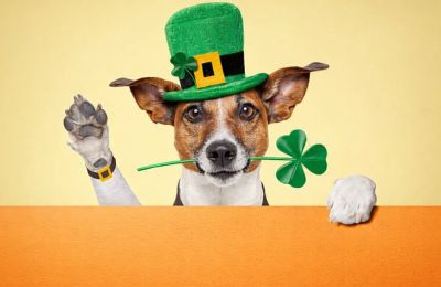 Honorary Irish today, Cypriot tomorrow. Clouds roll in while winds search for the nearest pub. Photo credit: Unsplash