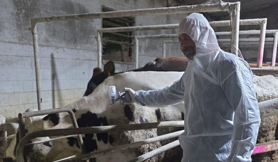 Cyprus under livestock ‘quarantine’ as disease outbreak triggers EU restrictions