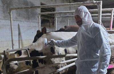 Cyprus under livestock ‘quarantine’ EU restrictions