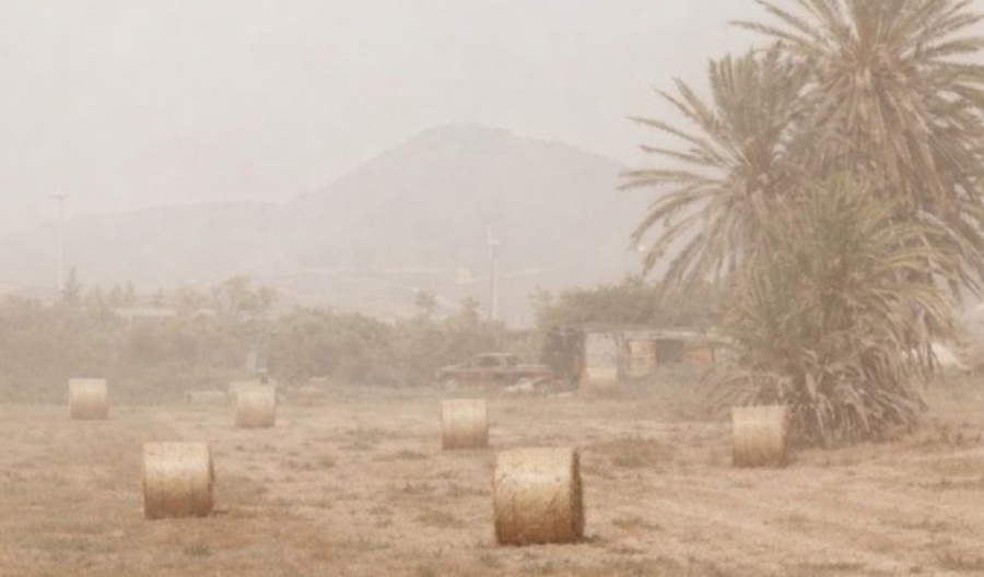 A day for 23°C coastal strolls. Just make sure you wear beige to blend in with the dust. File photo Unsplash