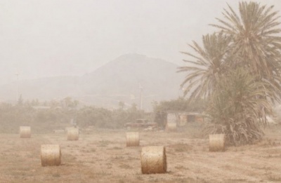 A day for 23°C coastal strolls. Just make sure you wear beige to blend in with the dust. File photo Unsplash