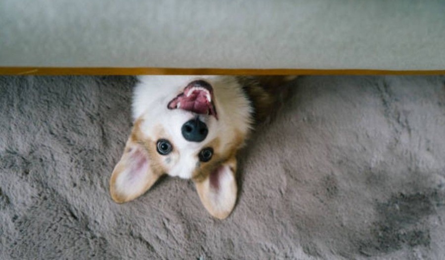 Grab the umbrella and the antihistamines; it’s going to be a multi-layered Thursday. Photo credit: Unsplash