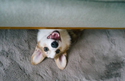 Grab the umbrella and the antihistamines; it’s going to be a multi-layered Thursday. Photo credit: Unsplash