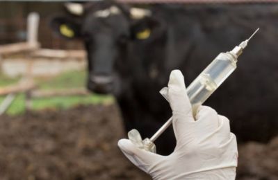 Second doses due in late March, with antibody testing to follow in early April. Photo credit: Unsplash