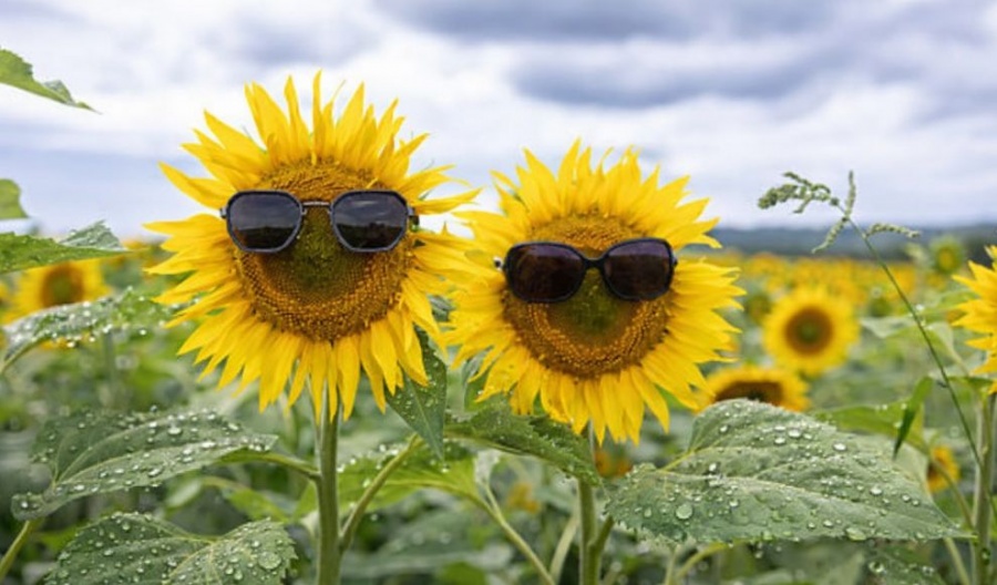 Watch for very strong gusts along the coast and a chilly 8°C in the Troodos peaks. Photo credit: Unsplash