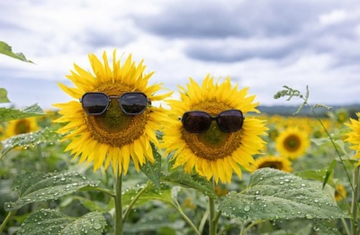 Watch for very strong gusts along the coast and a chilly 8°C in the Troodos peaks. Photo credit: Unsplash