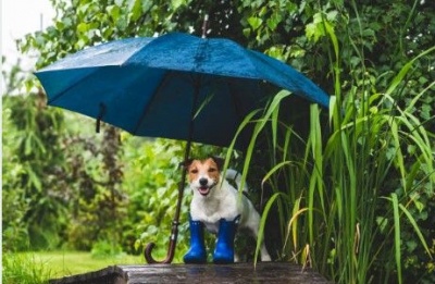 Seasonal averages are holding steady at 19°C, but don't let the morning sun trick you into leaving the umbrella at home.