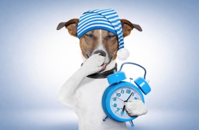 A dust-themed weekend is moving in, and Sunday is stealing an hour of your sleep.