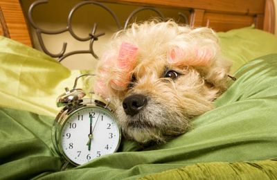 Expect coastal gusts to hit 6 Beaufort this afternoon and plenty of wind to help blow away the brain fog. Photo credit: Unsplash