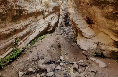 Officials say reopening will only occur once the area is fully safe for visitors. Photo credit: @DepartmentOfForests