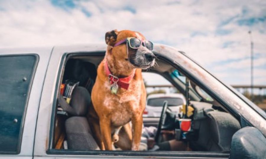 Empty beach before the storm