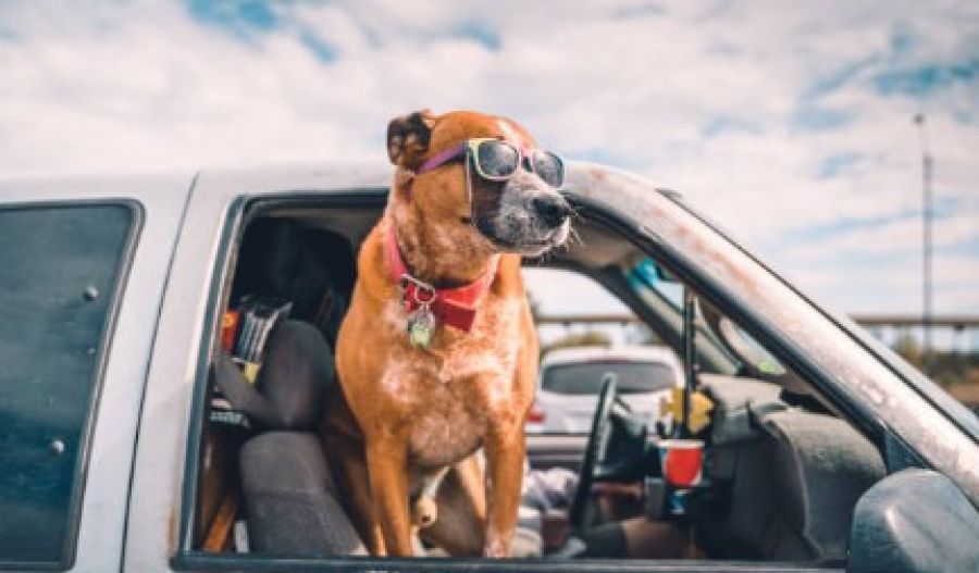 Today belongs to open windows; tomorrow they’ll need to stay shut to keep the desert dust out. Photo credit: Unsplash