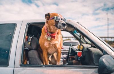 Today belongs to open windows; tomorrow they’ll need to stay shut to keep the desert dust out. Photo credit: Unsplash