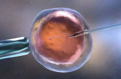 Families say they were promised specific donors, but later discovered no genetic link and received few answers from clinics. Photo credit: Unsplash