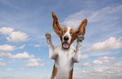 From bright spells to passing storms, expect a little of everything in the days ahead. Photo credit: Unsplash