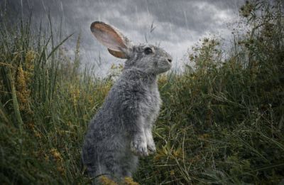 Temperatures ease slightly as Cyprus moves toward a mostly clear Easter Sunday. File photo Unsplash