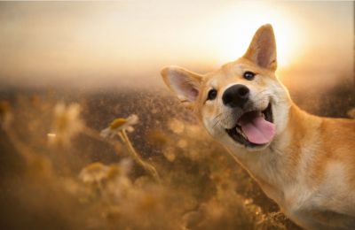 Clouds and a few showers return on Friday as conditions turn more unsettled. Photo credit: Unsplash