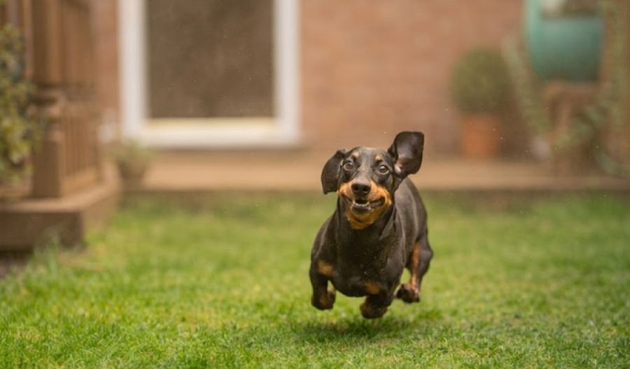 Temperatures dip by the weekend as unsettled weather settles in. Photo credit: Unsplash