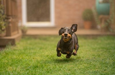 Temperatures dip by the weekend as unsettled weather settles in. Photo credit: Unsplash