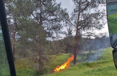 Second blaze in Evrichou brought under control within 10 minutes. Photo credit: @DepartmentOfForests Facebook