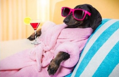 Light breezes and temperatures that actually behave. Photo credit: Unsplash