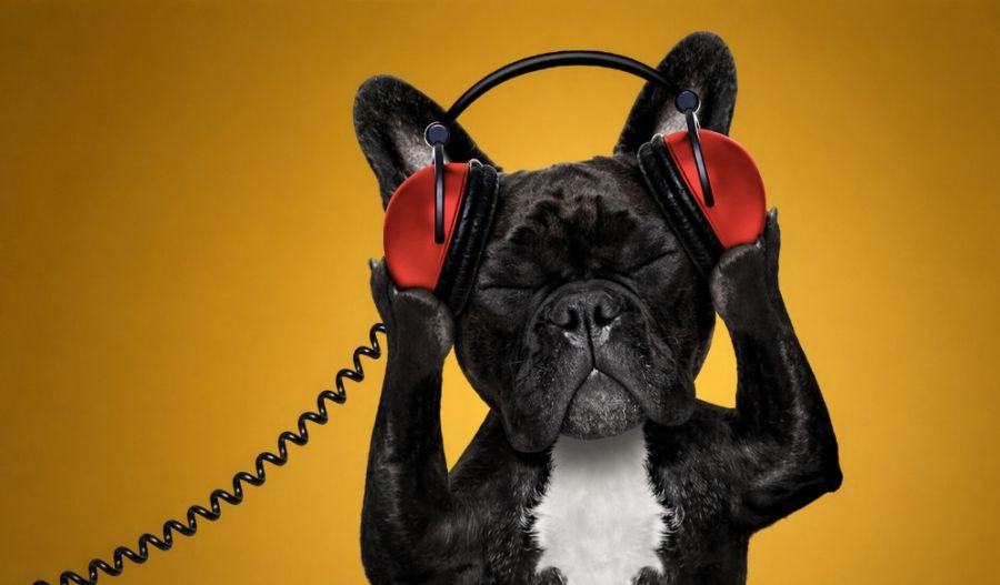 Friday's calm before the dust-storm and Monday's melodrama. Photo credit: Unsplash