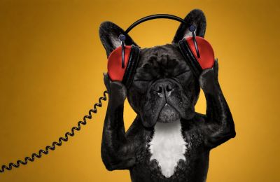 Friday's calm before the dust-storm and Monday's melodrama. Photo credit: Unsplash