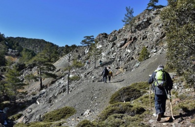 Popular hiking paths, including Artemis and Kalidonia, back in use after closures.