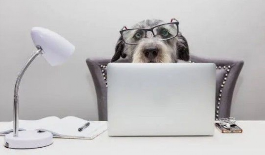 The Sahara’s leaving a ''thin'' parting gift of dust 'til Tuesday. Photo credit: Unsplash