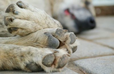 Stock photo Unsplash