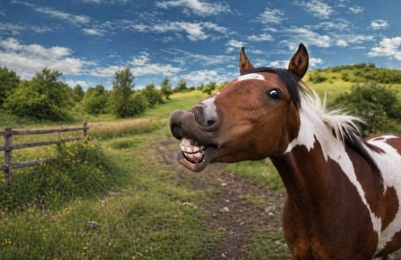 Inland temperatures push 29°C before the clouds clock in. Photo credit: Unsplash