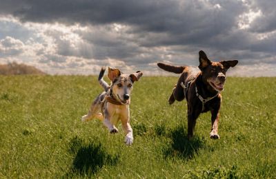 Friday dust and Saturday storms loom on the horizon.