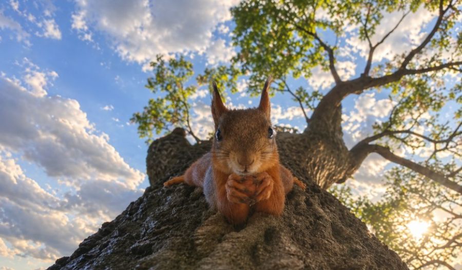 High temps, low pressure, and a weekend full of ''maybe''. Photo credit: Unsplash