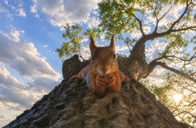 High temps, low pressure, and a weekend full of ''maybe''. Photo credit: Unsplash