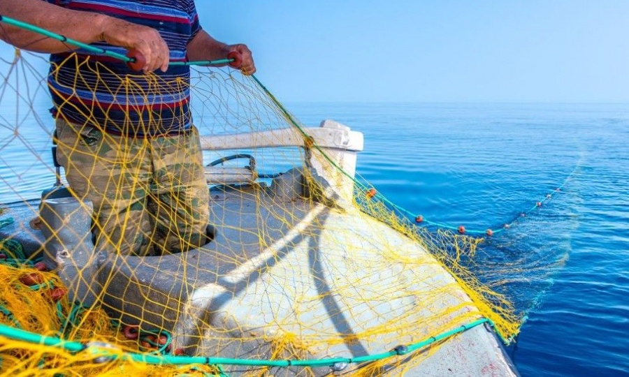 EU fish stocks improve, but fishing industry still under strain
