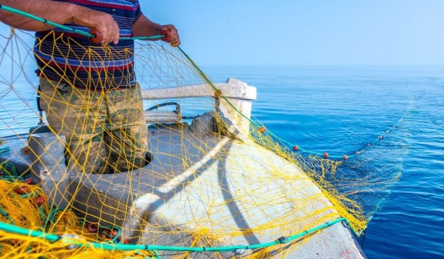 Gains in sustainable fishing are offset by slow recovery of fish stocks and ongoing pressures on fishers. Photo credit: fishingtourism.org
