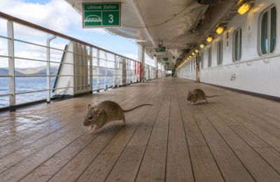 No Cypriot passengers involved and no need for extra checks at ports or airports. Photo credit: Unsplash
