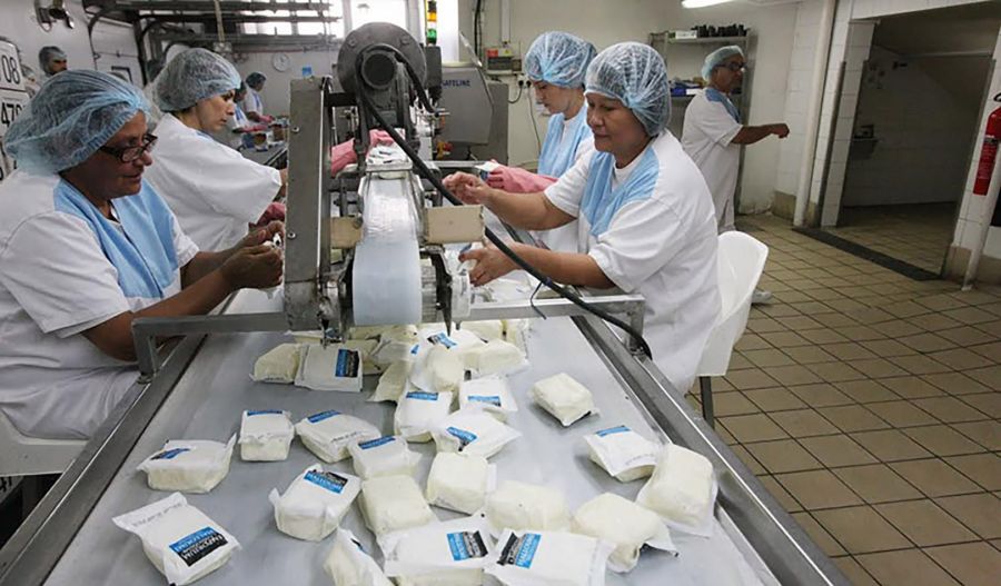 Halloumi recipe changed as effects of foot and mouth hit milk supply