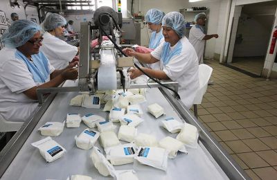 Halloumi recipe changed as effects of foot and mouth hit milk supply
