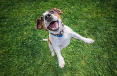 Sunshine returns for Sunday and Monday, with temperatures settling back into their usual springtime rhythm. Photo credit: Unsplash