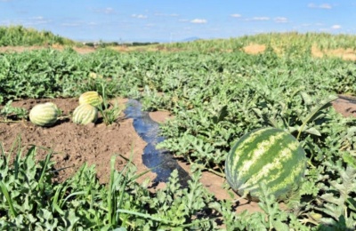 Farmers accuse authorities of failing to deliver promised compensation after severe losses during 2025.