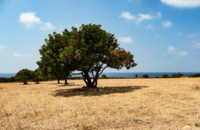 Officials in Geneva discuss climate-related pressure on healthcare systems and international cooperation. Photo credit: Unsplash